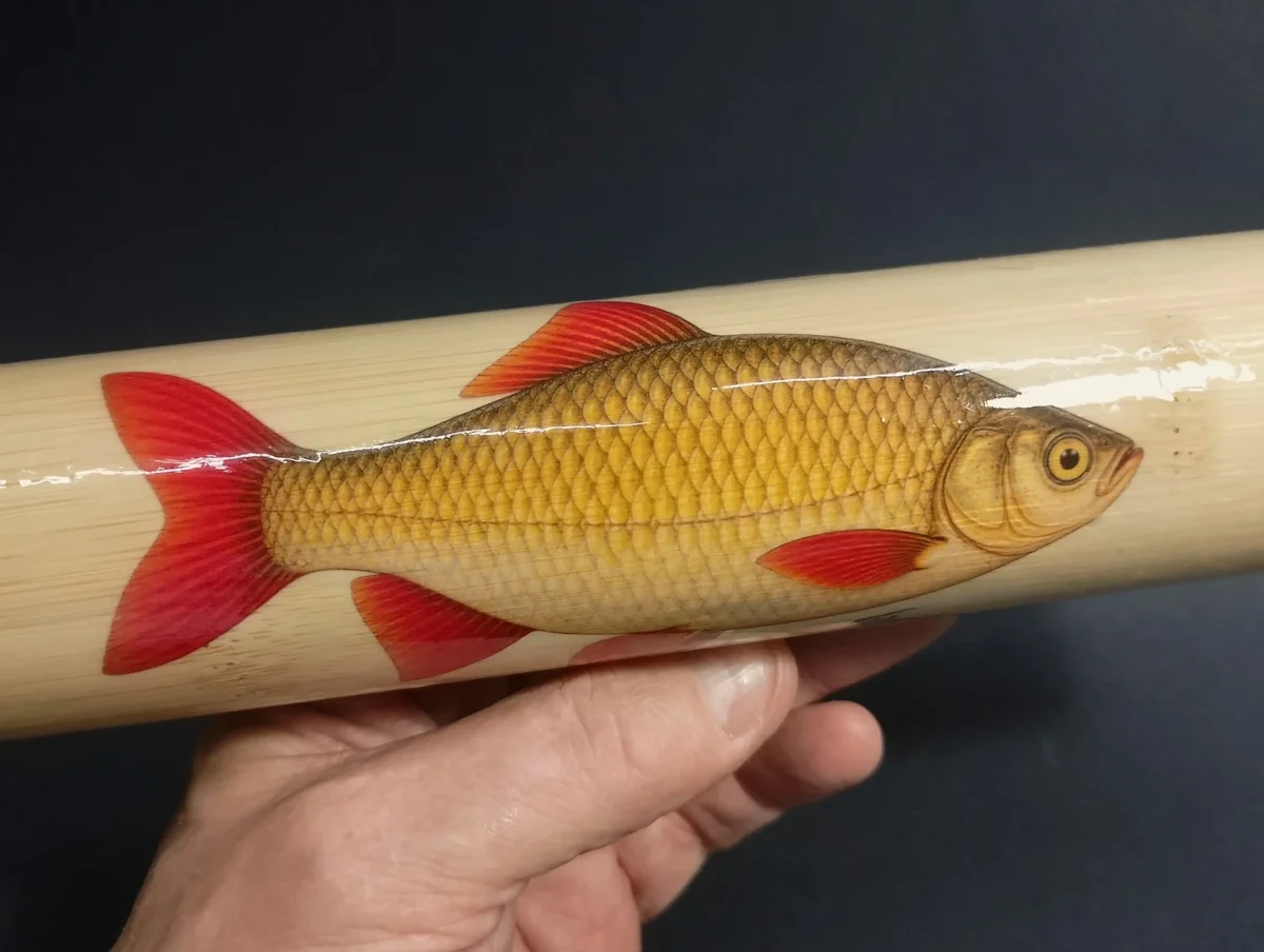 close up of the painting of a perch on the side of a bamboo fishing float tube by Ian Lewis