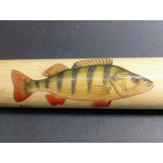 Ian Lewis painting of a perch on a handmade bamboo fishing float tube