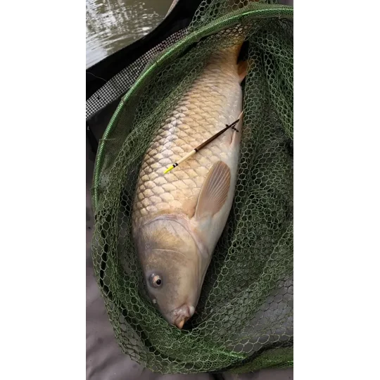 CARP CAUGHT USING HANDMADE PORQUPINE FLOAT