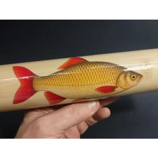 Bamboo Fishing Float Storage Tube with Fish Illustrations – Ian Lewis
