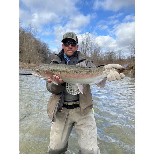 Large Avons
