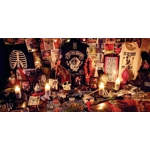 The Hip Priests "Those Fuckin' Boys - A Decade of Disdain"