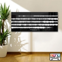 Acrylic Multi Audio Sound Wave Art
