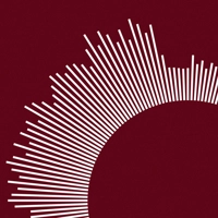 Radial Song Sound Wave Art