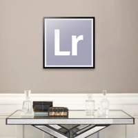 Adobe Icon Art Prints