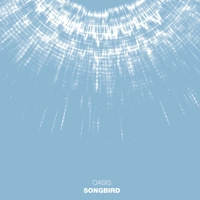 DNA Bright Song Sound Wave Art