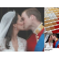 Pantone Swatch Portraits