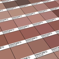 Pantone Swatch Portraits