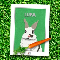 Fuzzy Pet Paw-trait Art | Fuzzy Felt Pets