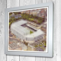 Newcastle Art Prints