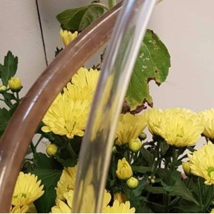 Fresh Water pipe hose