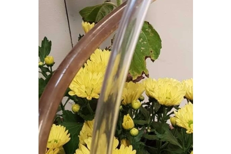 Fresh Water pipe hose