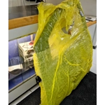 Fiat Punto Front Door 51744979