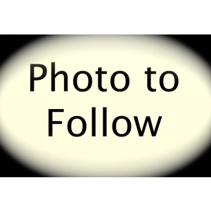 Airgun High Pressure Stirrup Pump