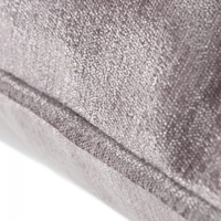 Velvet Feather Filled Cushion Latte