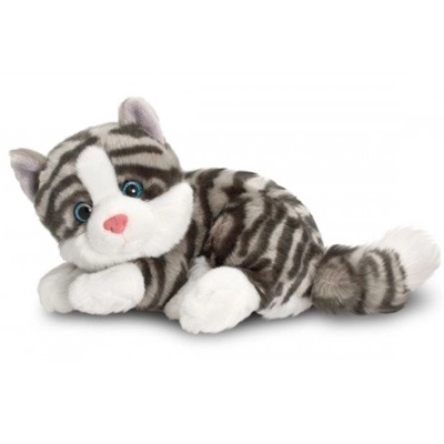 Kitten Laying Down