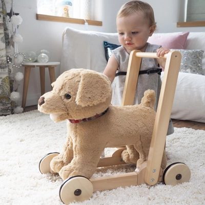Cuddly Dog Push Along Cuddly Dog Push Along
