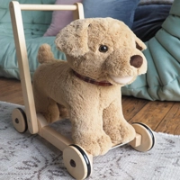 Cuddly Dog Push Along