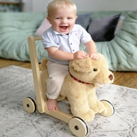 Cuddly Dog Push Along