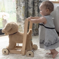 Cuddly Dog Push Along