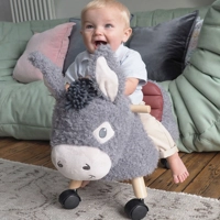 Delightful Donkey Ride On