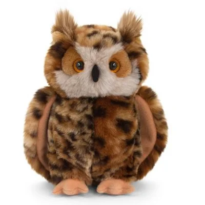 Owl - Long Eared Owl