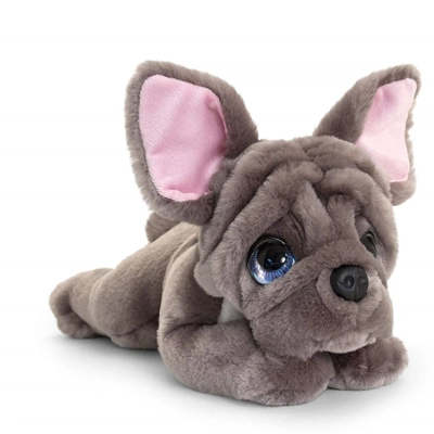 Cuddly French Bulldog Puppy