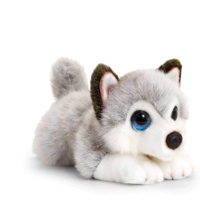 Cuddly Husky Puppy