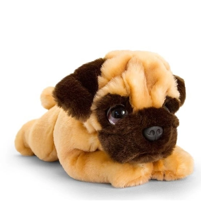 Cuddly Pug Puppy