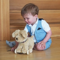 Cuddly Dog Pull Along