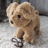 Cuddly Dog Pull Along