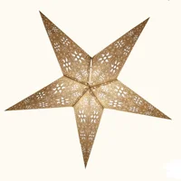 Firework Natural Lantern