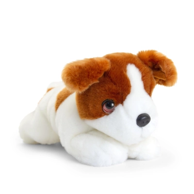 Cuddly Jack Russell Puppy Cuddly Jack Russell Puppy
