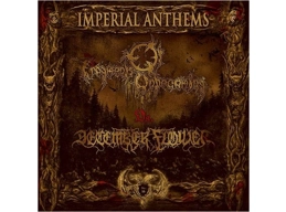 FRAGMENTS OF UNBECOMING / DECEMBER FLOWER - Imperial Anthems Vol.16 - Split 7