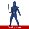 Blue Ninja Child Costume Blue Ninja Child Costume