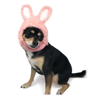 Doggie Bunny Hat