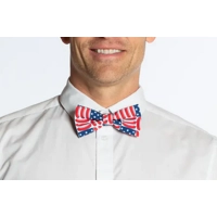 The Democracy Dog Bow Tie