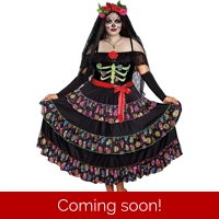 Lady Of The Dead Adult Costume