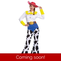Toy Story Jessie Adult Costume