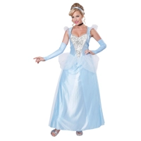 Classic Cinderella Adult Costume
