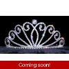 Small Swirl Tiara Small Swirl Tiara