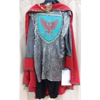 RENT ONLY King Arthur Costume