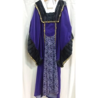 RENT ONLY King Henry's Lady Costume