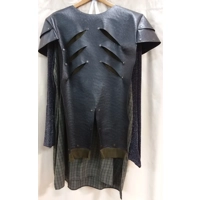 RENT ONLY Viking Men's Costume