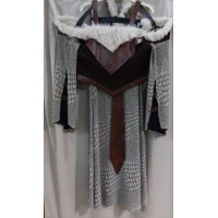 RENT ONLY Viking Woman's Costume
