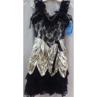 RENT ONLY Gold Dance Hall Dress