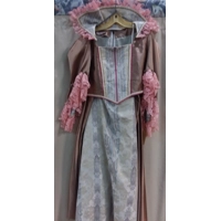 RENT ONLY Colonial Tan Dress