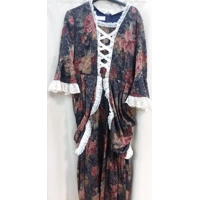 RENT ONLY Colonial Dress