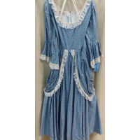 RENT ONLY Colonial Dress