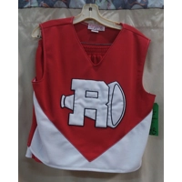 RENT ONLY 50's Cheerleader Dress